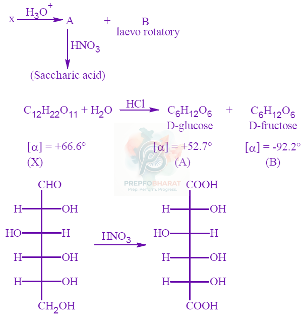 JEE Main 2022 Chemistry, Biomolecules — solution figure