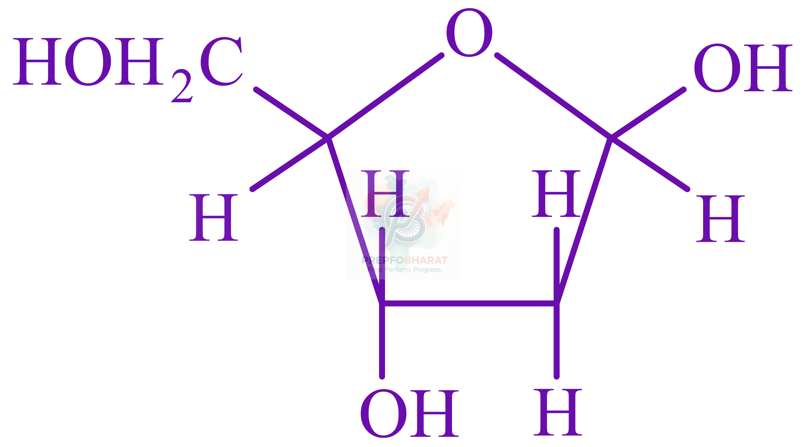 JEE Main 2022 Chemistry, Biomolecules — solution figure 1