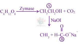JEE Main 2022 Chemistry, Biomolecules — solution figure