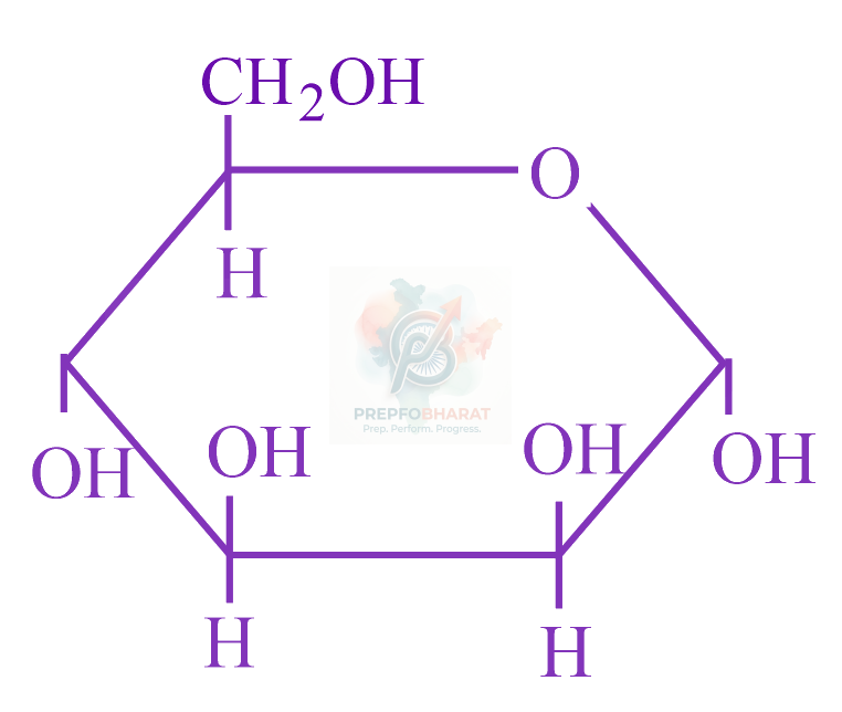 JEE Main 2023 Chemistry, Biomolecules — option B figure