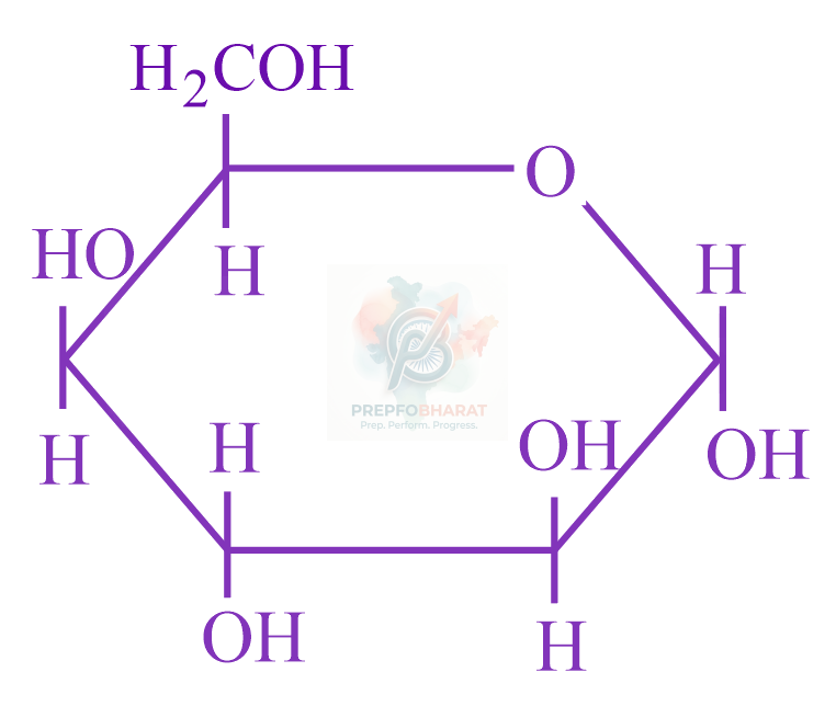 JEE Main 2023 Chemistry, Biomolecules — option C figure