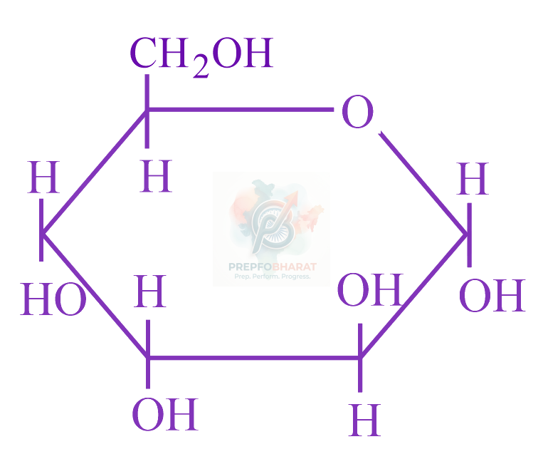 JEE Main 2023 Chemistry, Biomolecules — option D figure