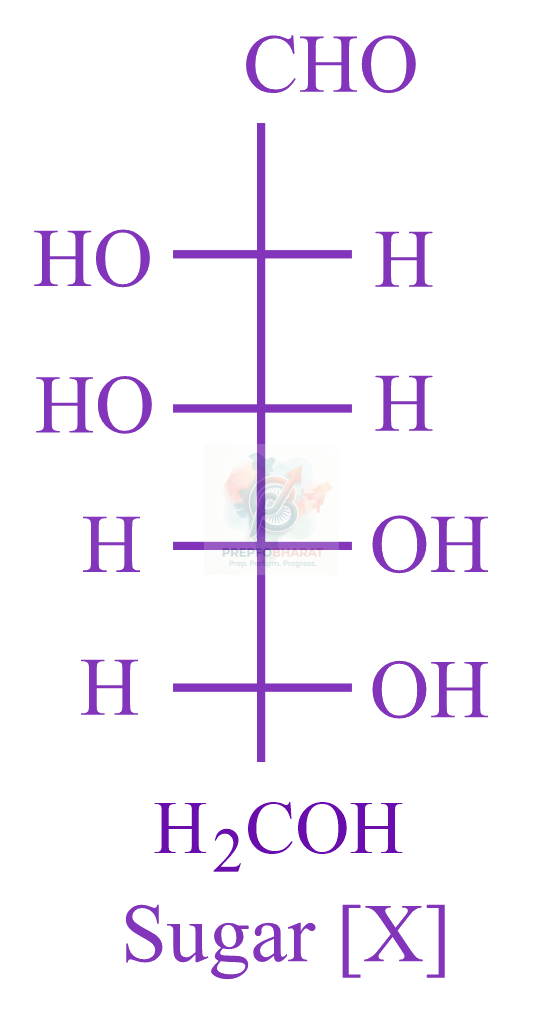 JEE Main 2023 Chemistry, Biomolecules — question figure