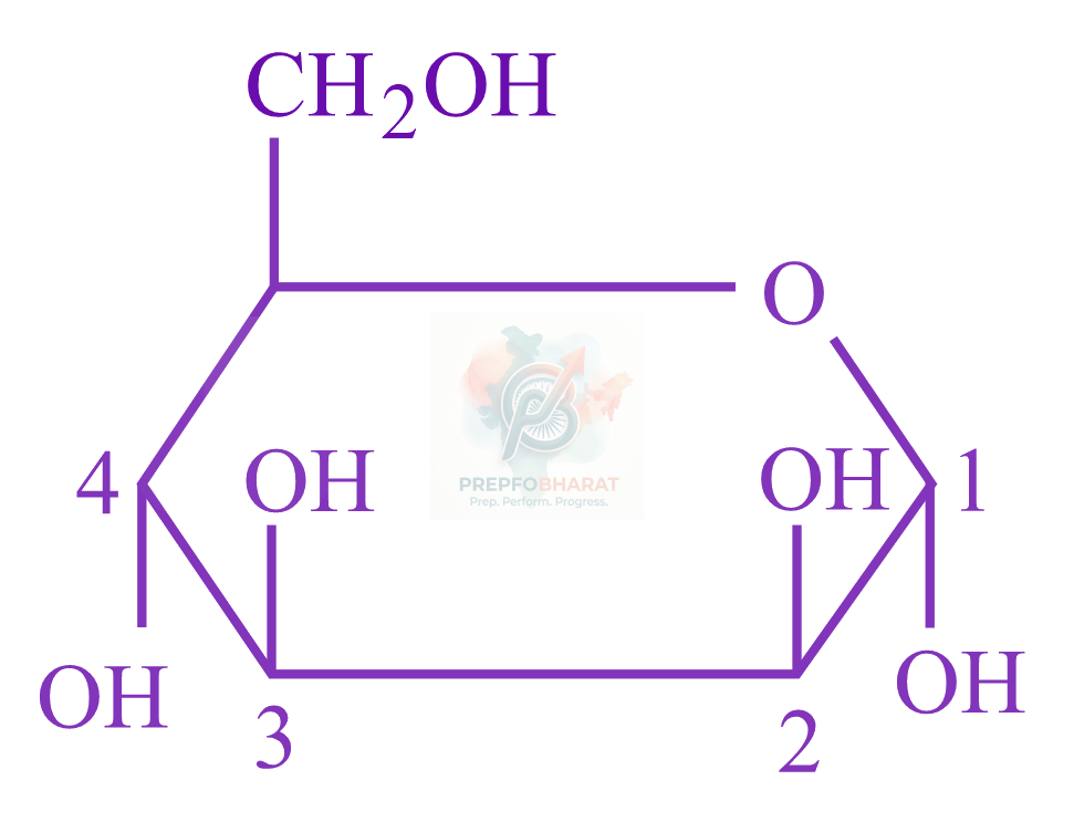 JEE Main 2023 Chemistry, Biomolecules — solution figure