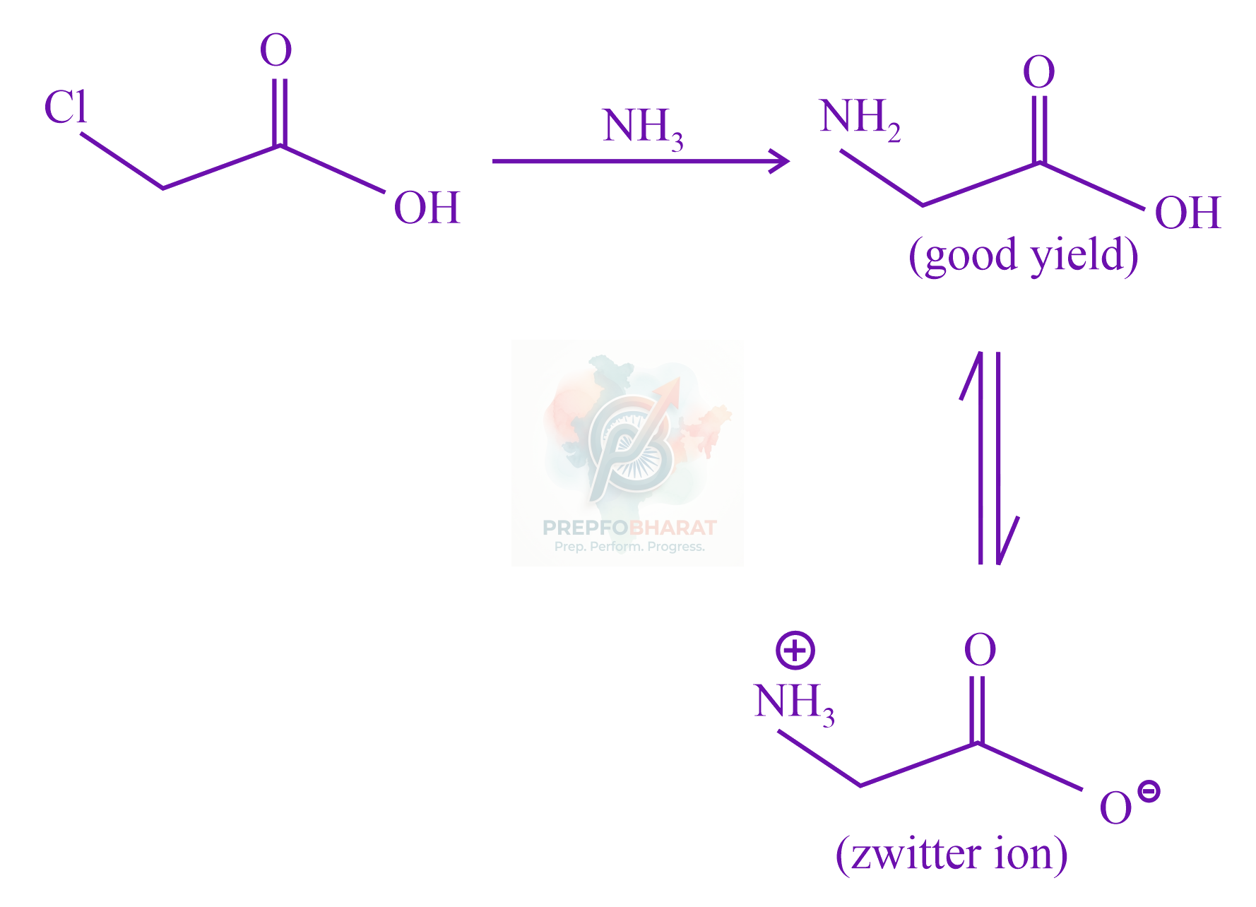 JEE Main 2023 Chemistry, Biomolecules — solution figure
