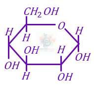 JEE Main 2023 Chemistry, Biomolecules — question figure 1