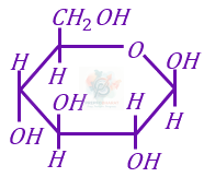 JEE Main 2023 Chemistry, Biomolecules — question figure 2