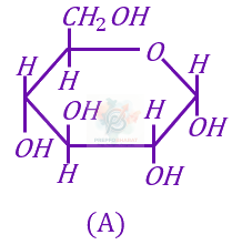 JEE Main 2023 Chemistry, Biomolecules — solution figure 1