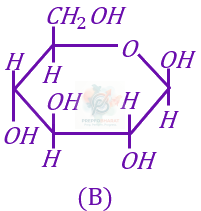 JEE Main 2023 Chemistry, Biomolecules — solution figure 2