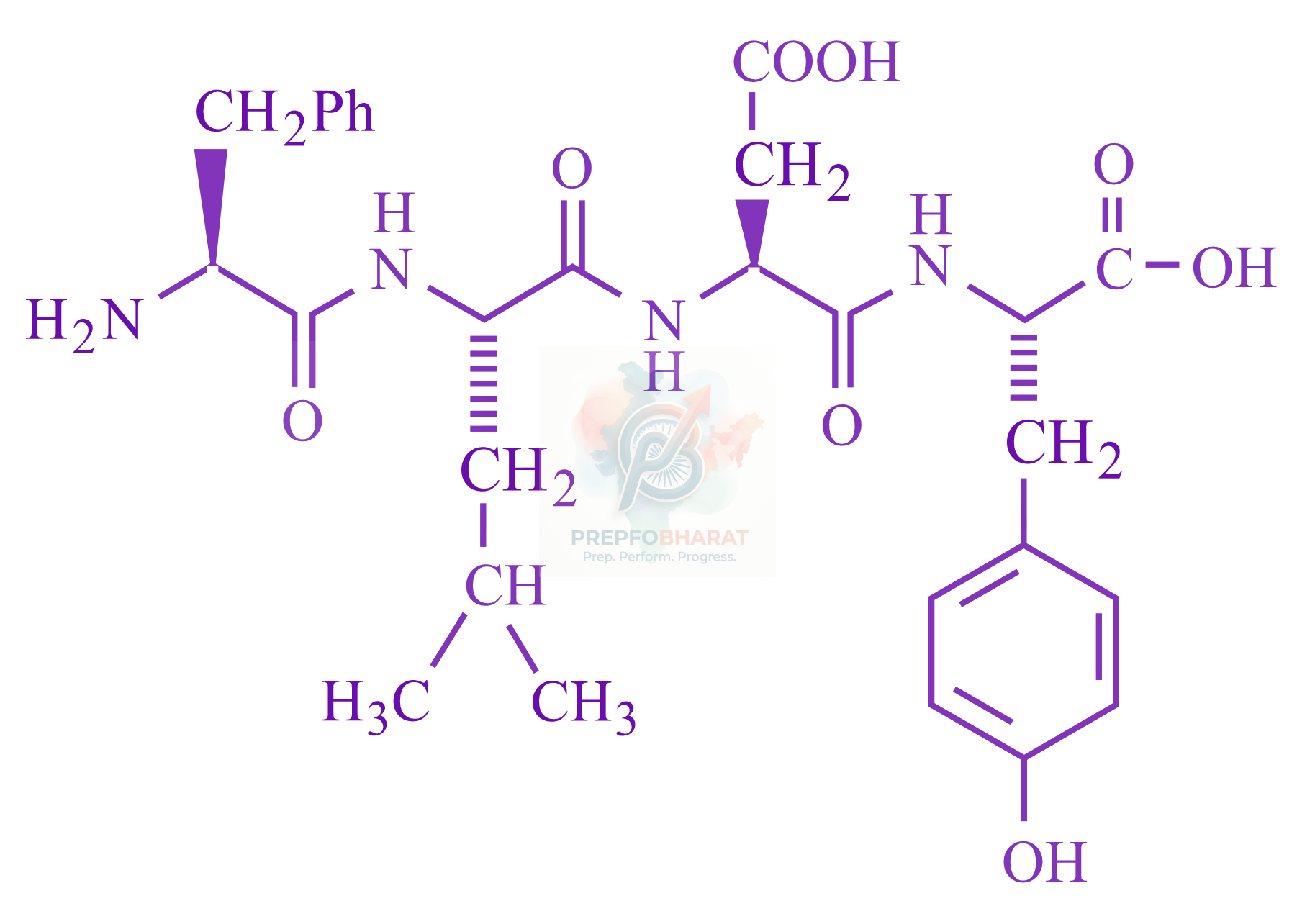JEE Main 2023 Chemistry, Biomolecules — question figure