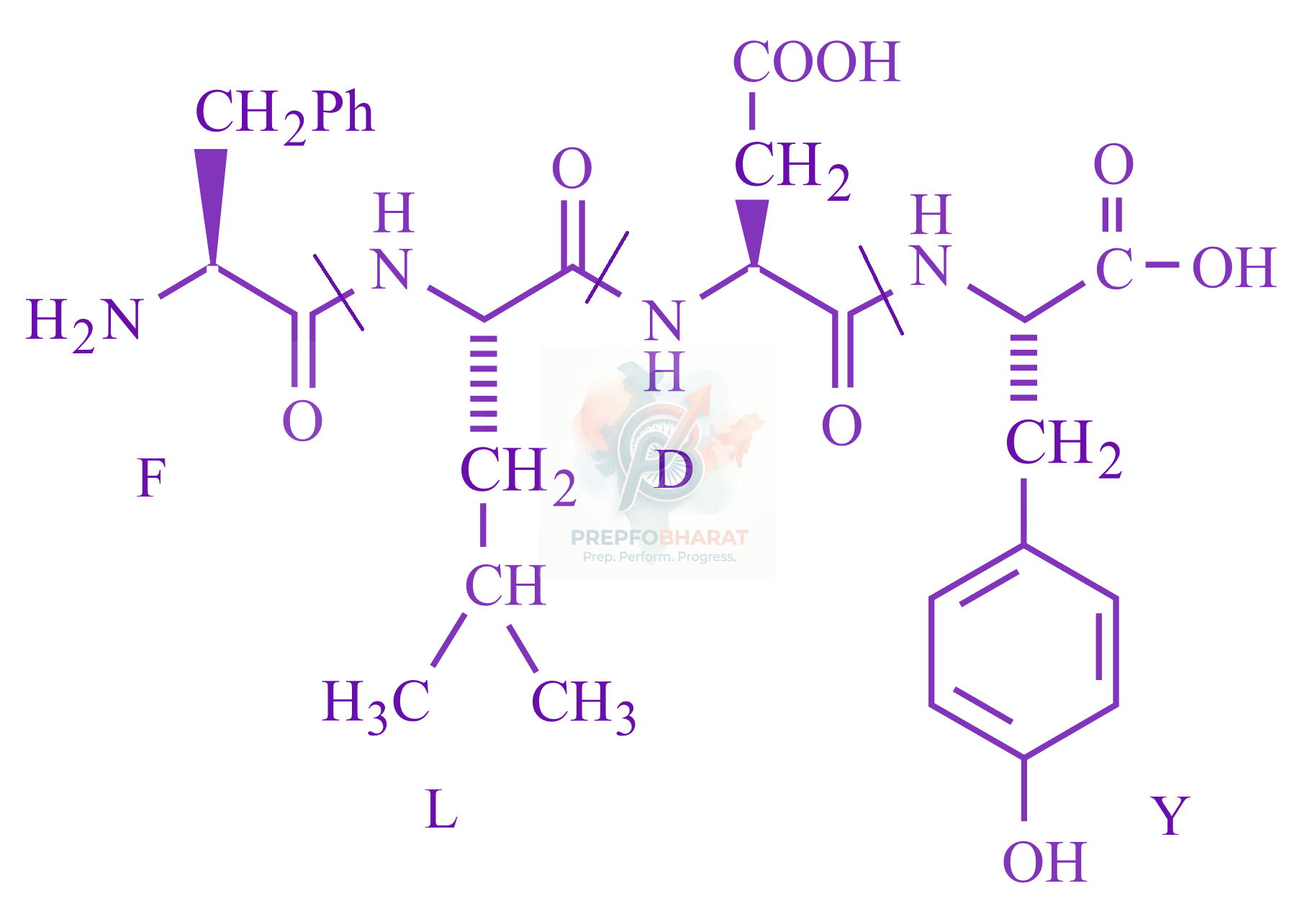 JEE Main 2023 Chemistry, Biomolecules — solution figure 1
