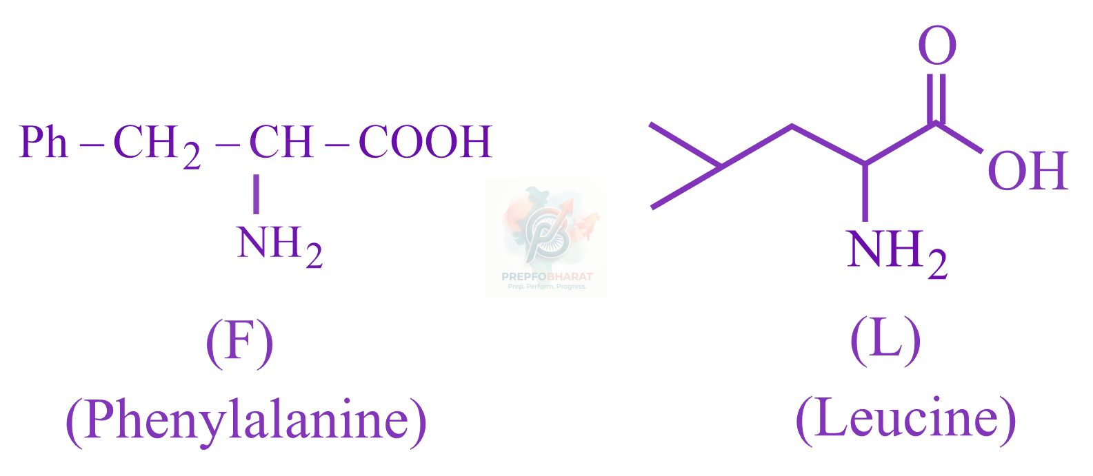 JEE Main 2023 Chemistry, Biomolecules — solution figure 2