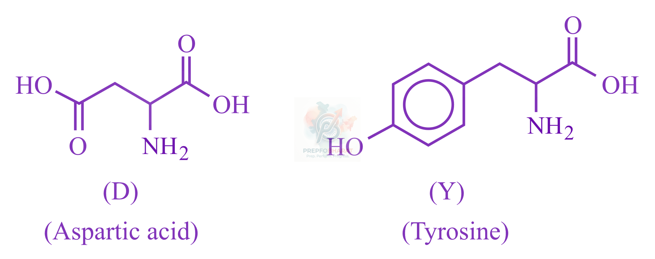 JEE Main 2023 Chemistry, Biomolecules — solution figure 3