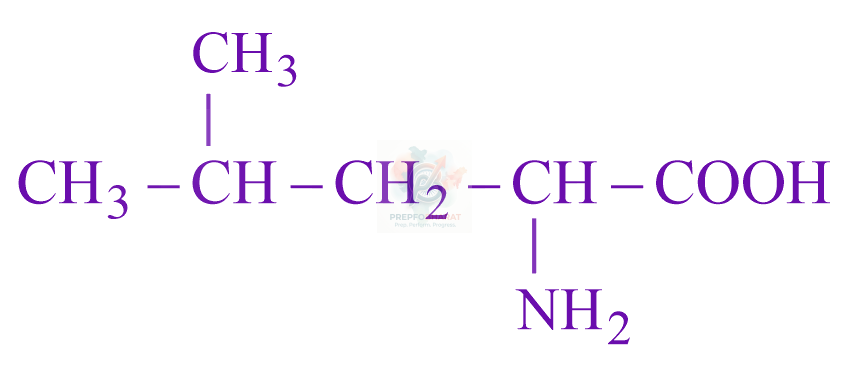 JEE Main 2023 Chemistry, Biomolecules — option B figure