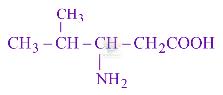 JEE Main 2023 Chemistry, Biomolecules — option C figure