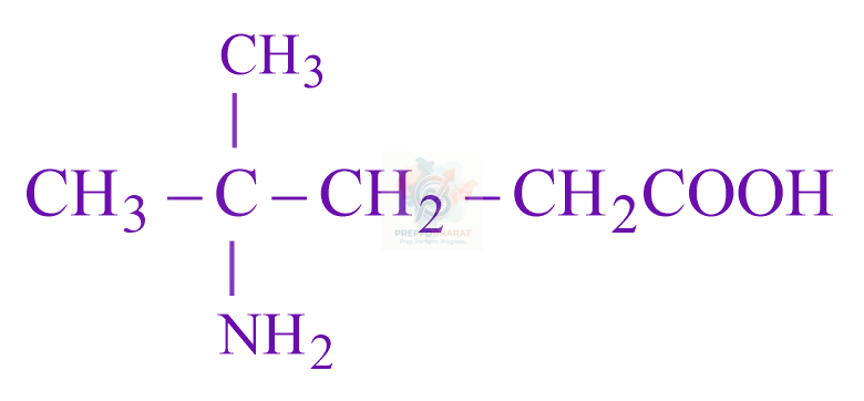 JEE Main 2023 Chemistry, Biomolecules — option D figure