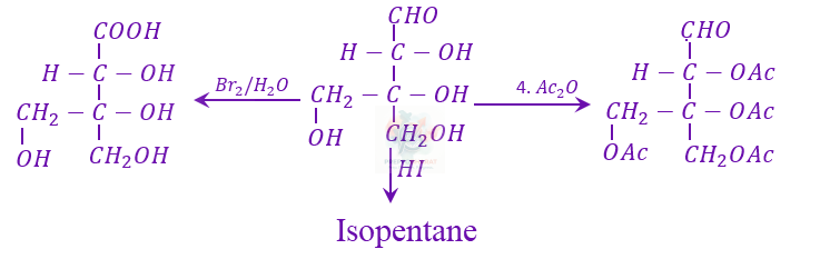 JEE Main 2023 Chemistry, Biomolecules — solution figure