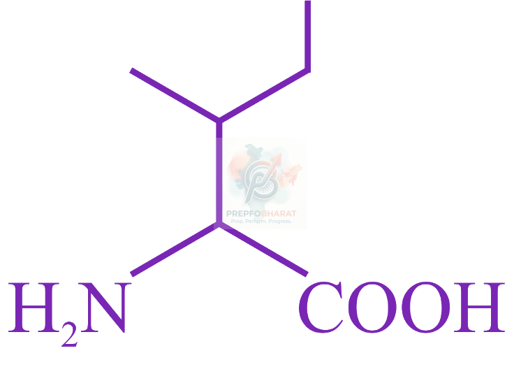 JEE Main 2023 Chemistry, Biomolecules — solution figure 1