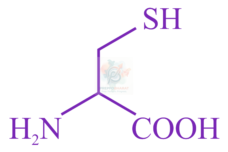 JEE Main 2023 Chemistry, Biomolecules — solution figure 2