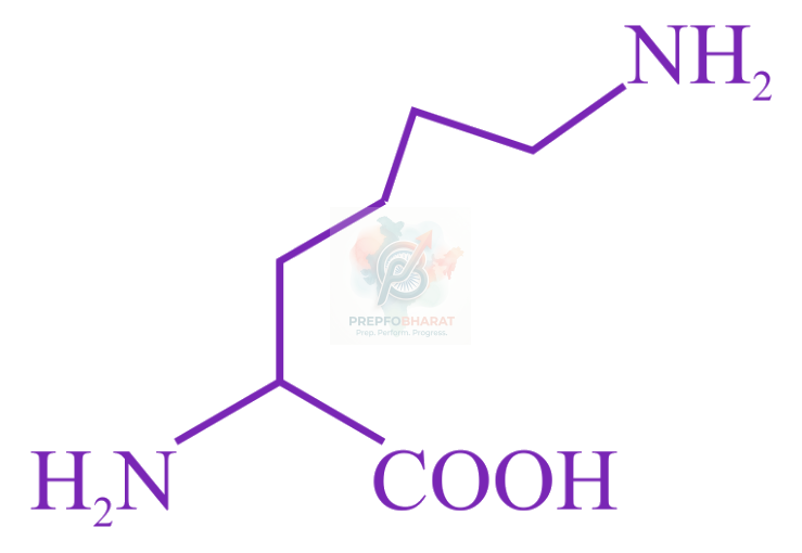 JEE Main 2023 Chemistry, Biomolecules — solution figure 3