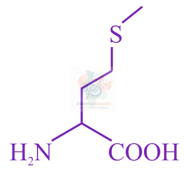 JEE Main 2023 Chemistry, Biomolecules — solution figure 4