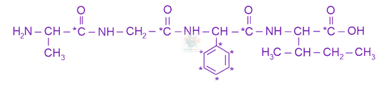JEE Main 2023 Chemistry, Biomolecules — solution figure
