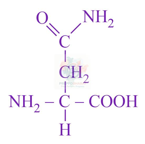JEE Main 2023 Chemistry, Biomolecules — solution figure