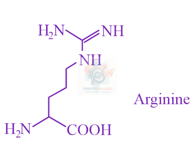 JEE Main 2023 Chemistry, Biomolecules — solution figure
