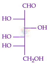 JEE Main 2024 Chemistry, Biomolecules — option A figure