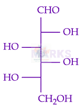JEE Main 2024 Chemistry, Biomolecules — option B figure