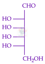 JEE Main 2024 Chemistry, Biomolecules — option C figure