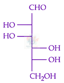 JEE Main 2024 Chemistry, Biomolecules — option D figure