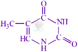 JEE Main 2024 Chemistry, Biomolecules — option A figure