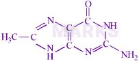 JEE Main 2024 Chemistry, Biomolecules — option B figure