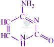 JEE Main 2024 Chemistry, Biomolecules — option C figure