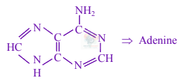JEE Main 2024 Chemistry, Biomolecules — solution figure 1