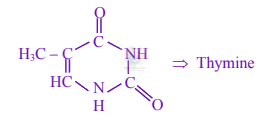 JEE Main 2024 Chemistry, Biomolecules — solution figure 2