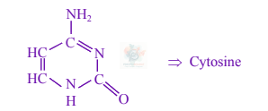 JEE Main 2024 Chemistry, Biomolecules — solution figure 3