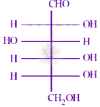 JEE Main 2024 Chemistry, Biomolecules — question figure