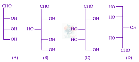 JEE Main 2025 Chemistry, Biomolecules — question figure