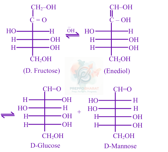JEE Main 2025 Chemistry, Biomolecules — solution figure