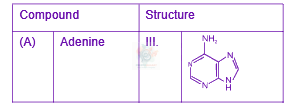 JEE Main 2025 Chemistry, Biomolecules — solution figure 1