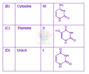 JEE Main 2025 Chemistry, Biomolecules — solution figure 2