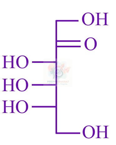 JEE Main 2025 Chemistry, Biomolecules — option B figure