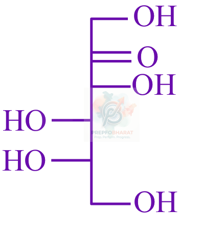 JEE Main 2025 Chemistry, Biomolecules — option C figure