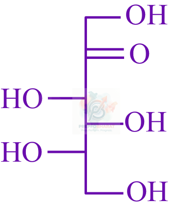 JEE Main 2025 Chemistry, Biomolecules — option D figure