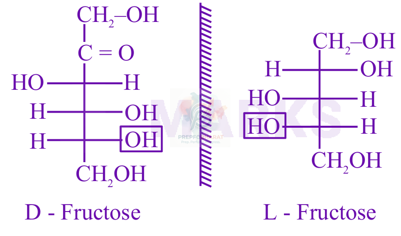 JEE Main 2025 Chemistry, Biomolecules — solution figure
