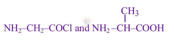 JEE Main 2025 Chemistry, Biomolecules — option A figure