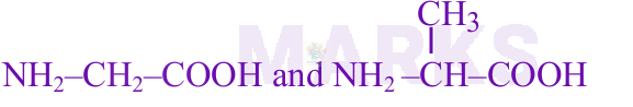 JEE Main 2025 Chemistry, Biomolecules — option D figure