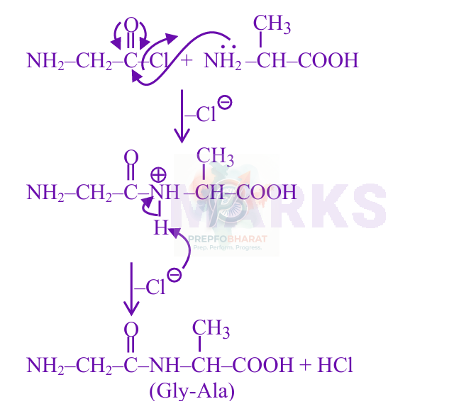 JEE Main 2025 Chemistry, Biomolecules — solution figure
